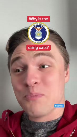 Cats in Zero Gravity: Air Force Experiment Explored