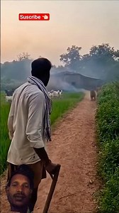 kaka reaction #reaction