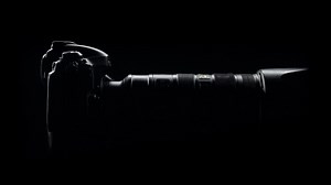 Ocypode Ryderi - Crabs in Zanzibar