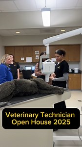 3.6K views · 30 reactions | A glimpse into BHC’s Veterinary Technology program at East Campus!  From hands-on learning to real-world experience, see what makes this program unique. Apply today or book a tour of the facilities! 喙 | Black Hawk College | Facebook