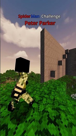 Minecraft Spider Man Challenge 🕷️ Noob vs Pro vs Peter Parker!