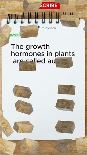What are the growth hormones in plants called?