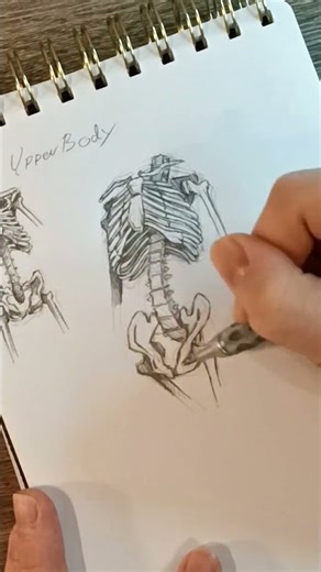 Draw Abs Like a Pro!