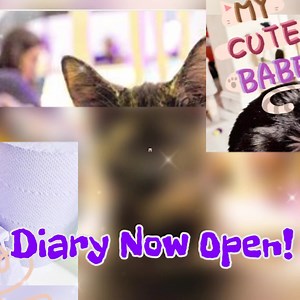 1K views · 82 reactions | ❗This is NOT a drill! ❗ Our diary is...