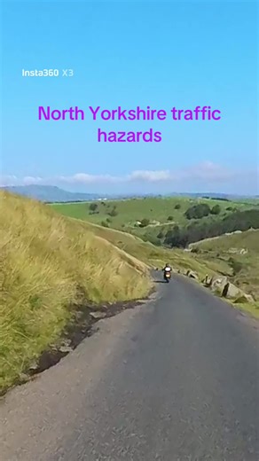 Typical traffic hazards in North Yorkshire, full video on your YouTube channel #motovlog #triumph #northyorkshire