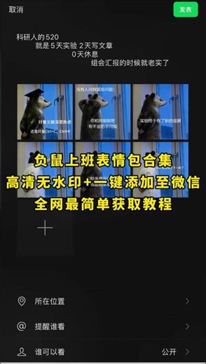 《月白精选》负鼠表情包，真的很迷哈哈哈 #负鼠表情包 #负鼠 #鼠鼠表情包 #鼠鼠我呀#弱小可怜又无助 #忧郁负鼠表情包#鼠鼠表情包 #鼠鼠我呀#像极了我的精神状态 #全身上下都是反骨 #盆友你放心 #负鼠表情包 #打工人的精神状态