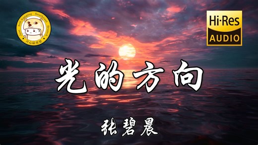 【Hi-Res无损】张碧晨-光的方向「循着光照的方向把你遗忘 回忆折旧成我倔强的模样」动态歌词