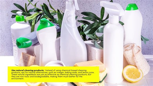 Eco-Friendly Cleaning 101: How to Save the Environment and Improve Your Workplace