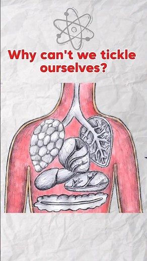 Why Can't We Tickle Ourselves?