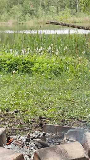 38K views · 96 reactions | Making Soup While Camping | Awesome | Facebook