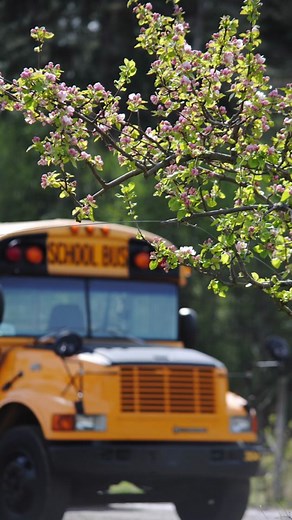 Building a Tiny Home on Wheels: Our Bus Conversion Journey