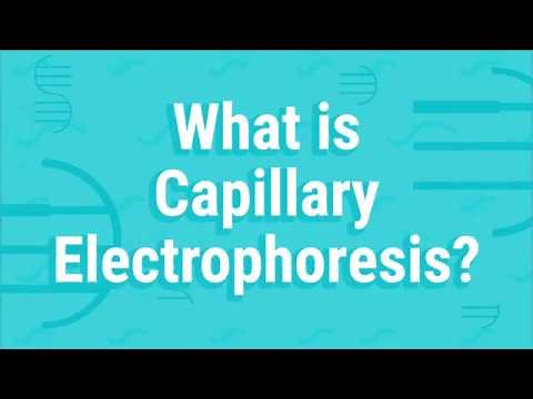 What Is Capillary Electrophoresis?