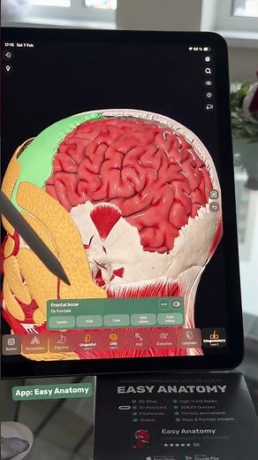 @easyanatomyappen Easy Anatomy App for medical school & USMLE