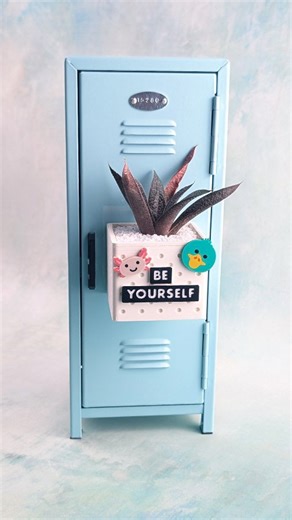 Everything You Need to Know About Succulents