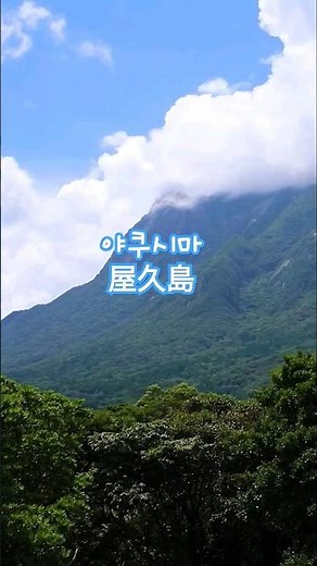 일본 가고시마에서 고속선 타고 90분. 신비로운 섬 야쿠시마. 미야자키하야오 감독의 원령공주의 배경지 #야쿠시마 #야쿠시마여행 #일본여행 #일본섬 #일본야쿠시마 #가고시마