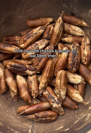 DIY Date Pit Oil for Hair Growth ✨