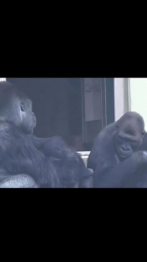 SkinnyMan   on Instagram