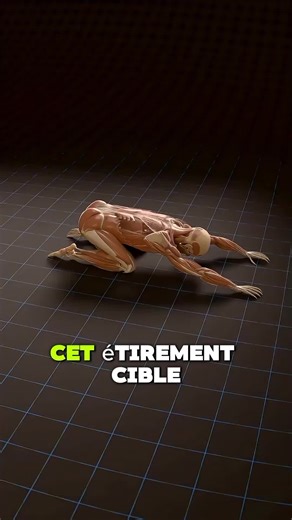 3 étirements simples pour libérer ton dos et détendre tout ton corps #maldeDos #SoulagementDos #Mobilité #Stretching #BienEtre