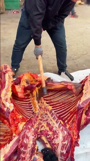 Butchering for Beginners: Whole Cow Edition! #BeginnerButcher #MeatBasics