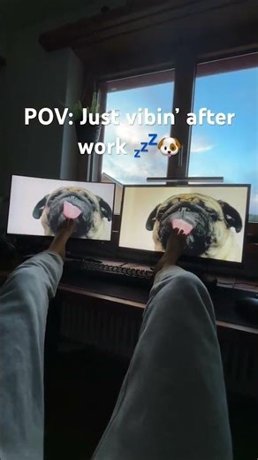 Just a chill day after work 😂🐾