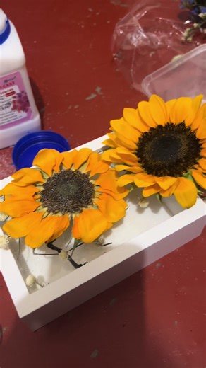 “My flower preservation using non-toxic silica gel sand — my honest review is shown in the video. Super satisfied! Check it out below, guys, before the flowers you received yesterday start to wilt.” #fyp #silicagel #valentines #flowerpreservation #sunflower