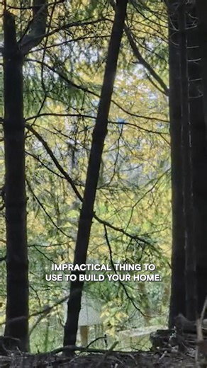 342K views · 4K reactions | This 74-year-old lives in an airplane?! | #TheUnBelievable Watch new episodes of The UnBelievable Fridays at 9/8c on HISTORY! | HISTORY | Facebook