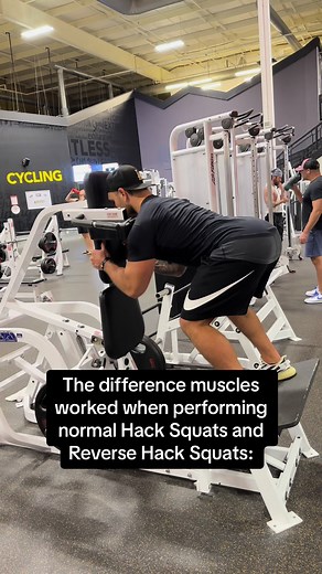 The difference between normal & reverse hack squats 🙌 #gymtok #gymtips #legday