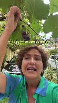 Fitoterápico - Uva - Vitis vinifera