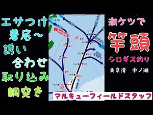 根岸丸でシロギス釣り　後半戦　視点を変えて撮ってみた　#マルキユー #マルキュー #フィールドスタッフ #シロギス釣り #シロギス
