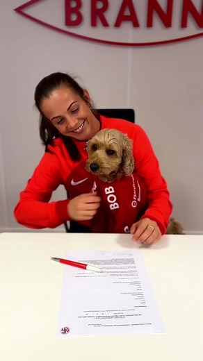 Mini Cockapoo Helps with Decision Making