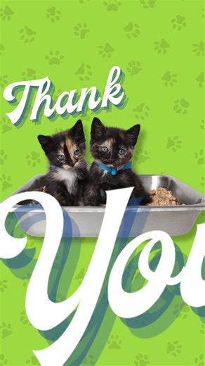 A couple weeks ago, we launched our inaugural $5 Friday campaign and you really showed up for the animals! In an effort to provide excellent care for the cats/kittens, we’ve pivoted to using stainless steel litter pans versus disposable aluminum ones. These are essential for the daily care of our cats, easier to clean/disinfect, & better for our environment. Thanks to your generous donations, we were able to purchase 36 pans! Woo hoo!