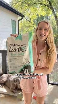 Natural flea & tick prevention for 4 dogs using Diatomaceous Earth 🤍🌿🐶✨ #dogshorts #dogmom