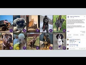 HCGTV: Haugen Academy Demo - Online Courses