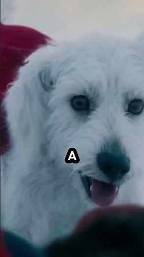 KRYPTO THE SUPERDOG IN SUPERMAN TEASER TRAILER!
