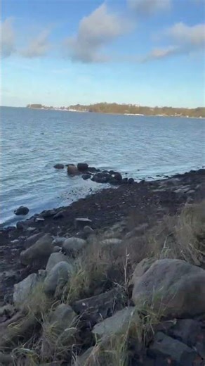 Day 1 of uploading even though the harmful BS pushing YT algorithm is punishing me