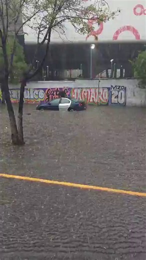 Les digo:Todo se les cae, todo lo hacen mal, todo es chafa. El sello de la casa de la cuarta deformación.