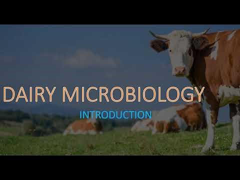 DAIRY MICROBIOLOGY II INTRODUCTION