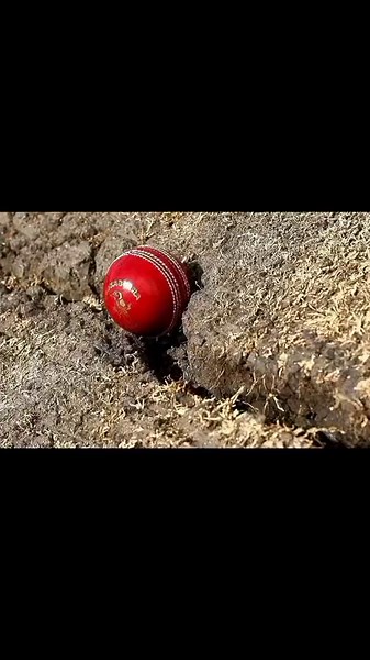 The Ashes 2013-14 Highlights | Cricket Series Recap