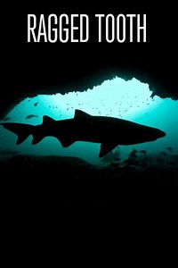 Ragged Tooth - Movie