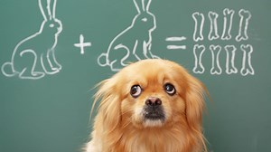 Can You Solve This Second Grade Math Problem?