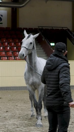 TRTmethod | Tristan Tucker | Horse Training on Instagram: "What do you do when your horse says "No"? 🛑 You can see it happen in this video. Casper sees the beanbags and immediately creates a contraction. He blocks and wants to go in the opposite direction. My reaction? I don't push him. If you fight the resistance, you only create more tension. Instead, I let him move, but I show him how to have a different sensation in his body. I use the groundwork patterns to mobilize him, teaching him to re