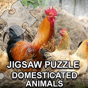 Jigsaw Puzzle Domesticated Animals: Play Jigsaw Puzzle Domesticated Animals online for free now.