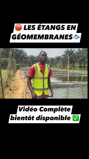 47K views · 460 reactions | Ce Type D’Étang Révolutionne La Pisciculture  #pound #etang #fishing | Jordan Talom enterprises | Facebook