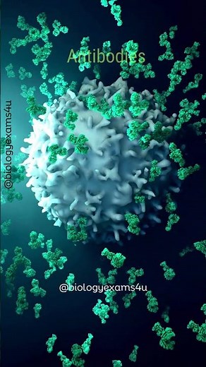 Virus trapped by Antibodies: Clash of the Titans #biology