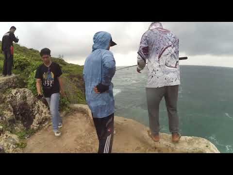 Ikan Kacangan / Karasan sedang menggila | Joran melengkung tajam