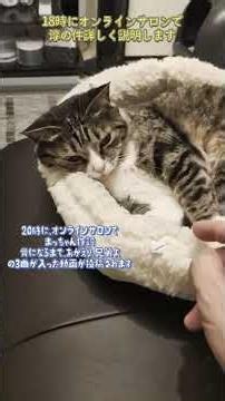ポンポンちゃんねる！あの男が逮捕されました！