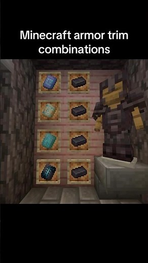Minecraft best armor trim...