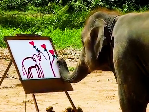 Using her trunk, the talented elephant creates a stunning self-portrait 🎨🐘 | Newsner.com