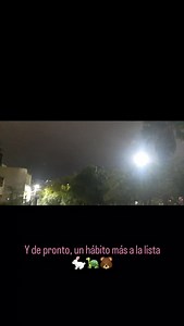 #habitos #buildingdreams #naturephotography #running #winter #hiver #conquer #replace #workingoutdoors #morningworkout #stepbystep Mis mañanas se disfrutan en la naturaleza. Mi mente se calma al contemplarla #clearofmind | Ninel Silva