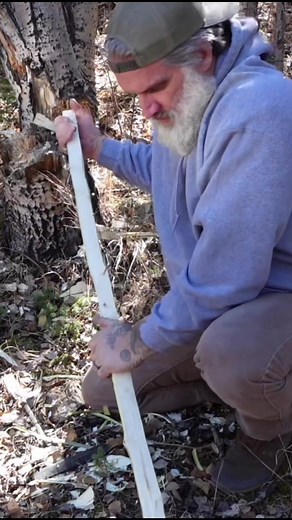 How to Make a Bow from Aspen Wood